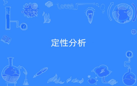 定性分析