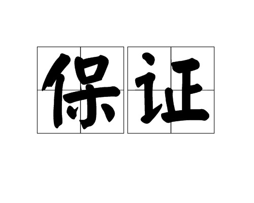 保证（保险名词）
