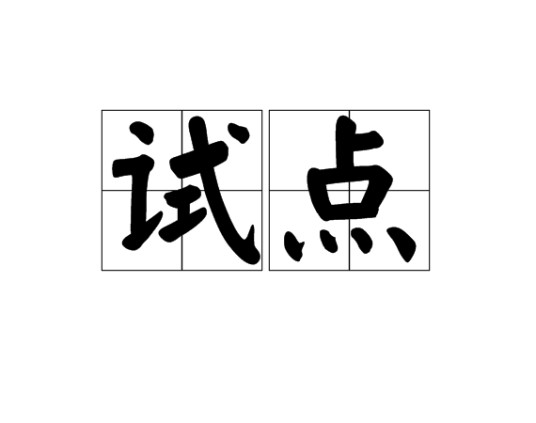 试点