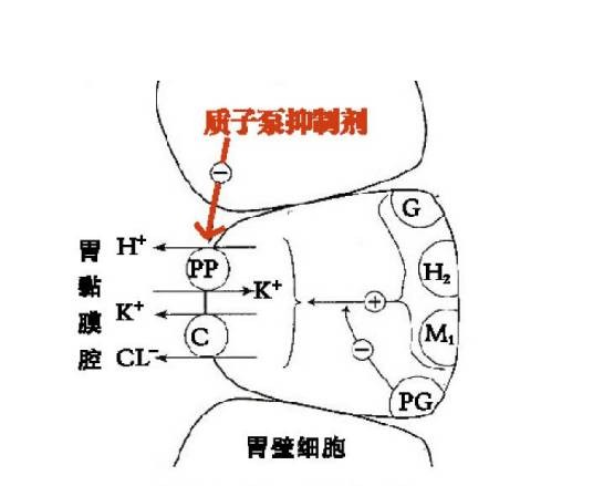 质子泵抑制剂