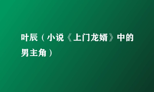 叶辰（小说《上门龙婿》中的男主角）