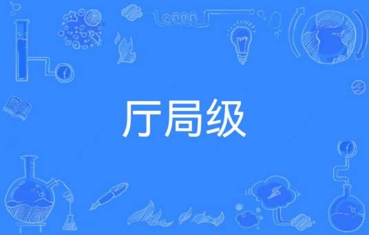 厅局级