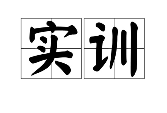 实训