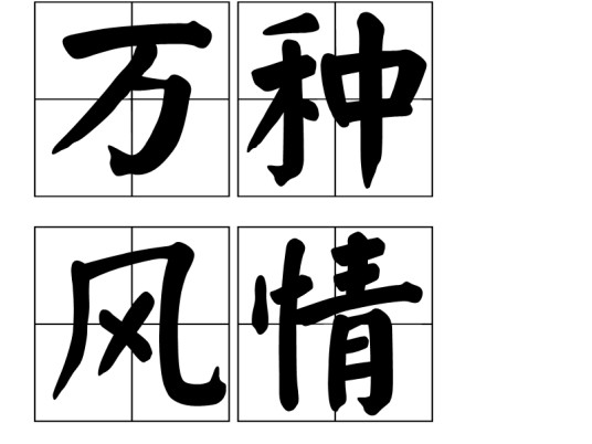 万种风情(汉语词语)