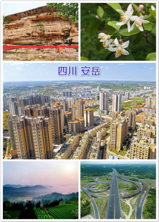安岳县