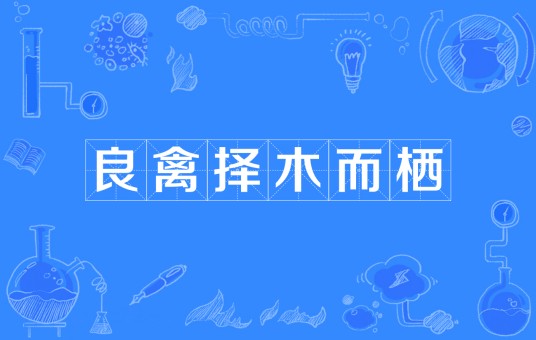 良禽择木而栖