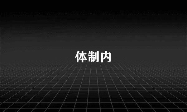 体制内