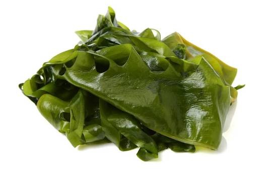 昆布(海带目翅藻科植物)