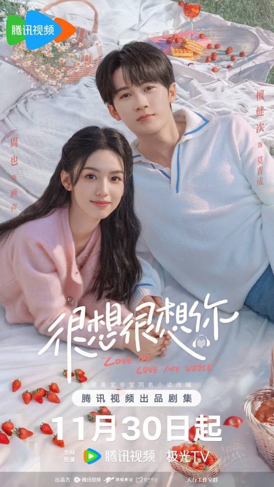 很想很想你（2023年沙维琪执导的声恋电视剧）