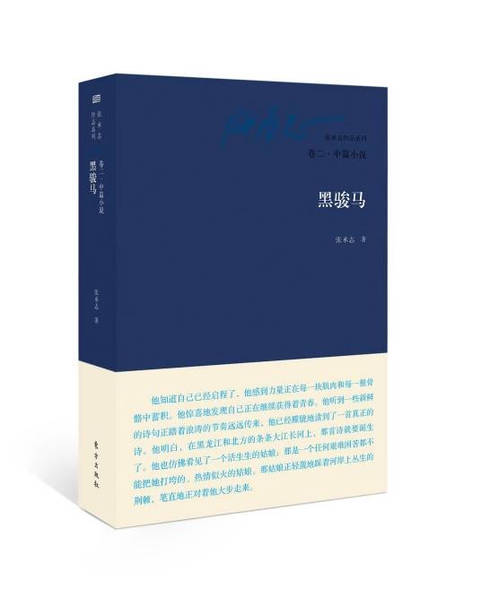 黑骏马（张承志创作中篇小说）