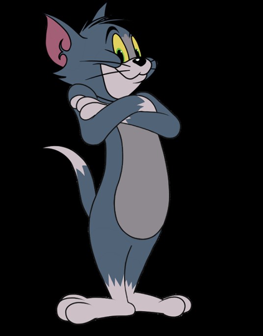 汤姆(美国动画片《猫和老鼠》(《Tom and Jerry》)中的主角之一)