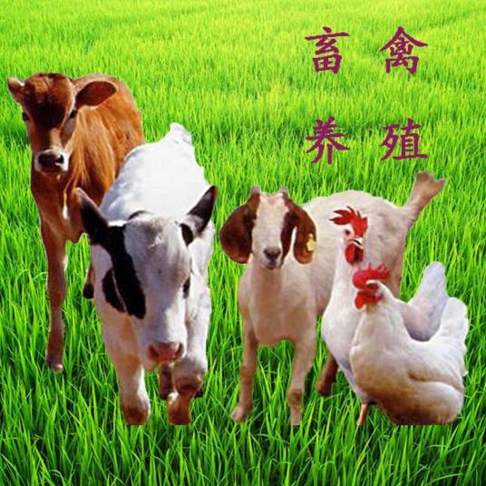畜禽（经过长期劳动驯化的各种动物）