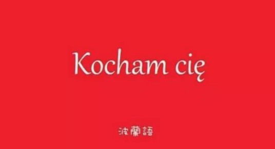 波兰语（印欧语系斯拉夫语族西斯拉夫语支语言）