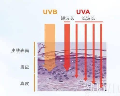 UVA(紫外线分类)