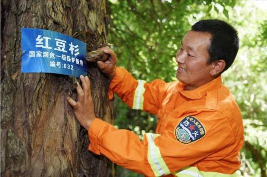 护林员（巡护森林的人员）