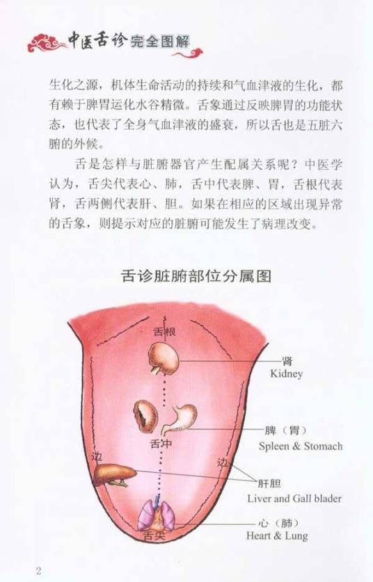 舌诊