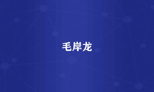 毛岸龙