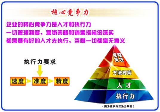 核心竞争力（为企业带来比较竞争优势的资源）