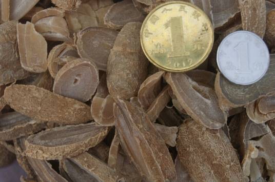 郁金（中药名）