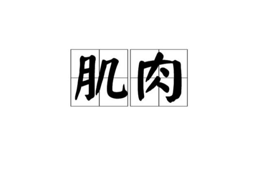 肌肉（汉语词语）