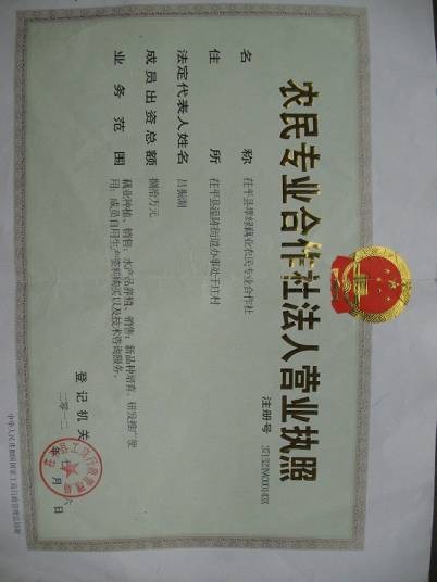 合作社