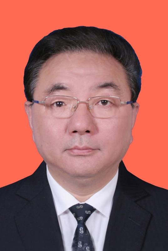 徐进(四川省国资委党委副书记)