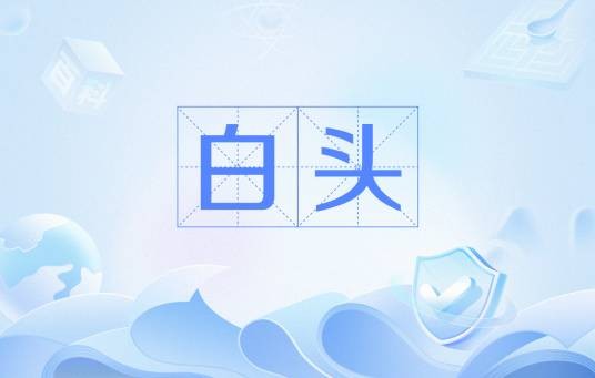 白头（词语）