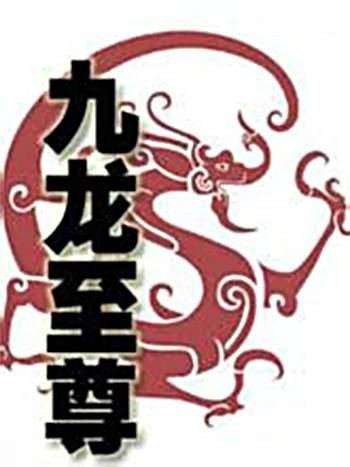 九龙至尊（盘古创作的玄幻类网络小说）