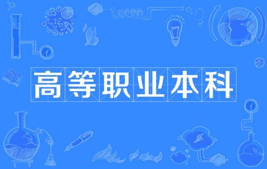 高等职业本科