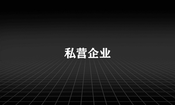 私营企业