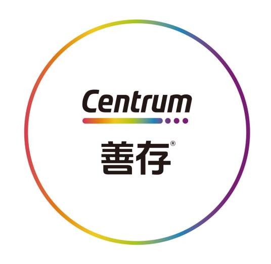 善存片
