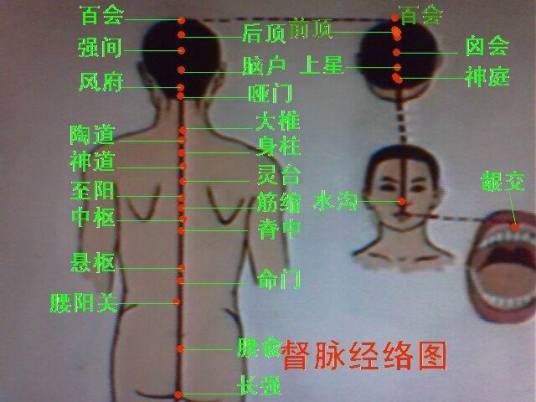 督脉（经络）