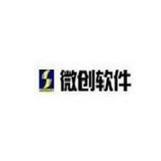上海微创软件