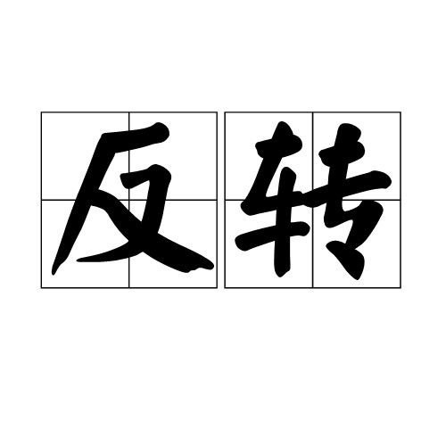 反转(汉语词汇)
