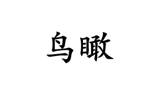 鸟瞰（汉语词语）