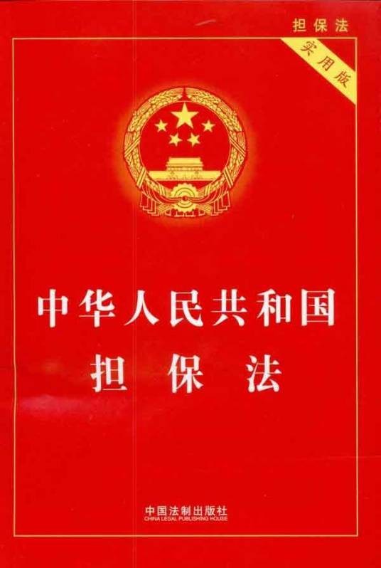 担保公司