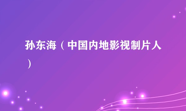 孙东海（中国内地影视制片人）