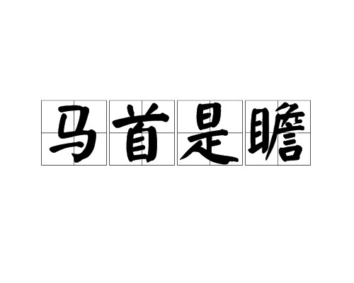 马首是瞻