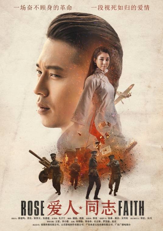 爱人同志（2016年毛卫宁执导的电视剧）