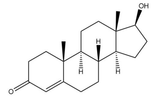 睾丸素