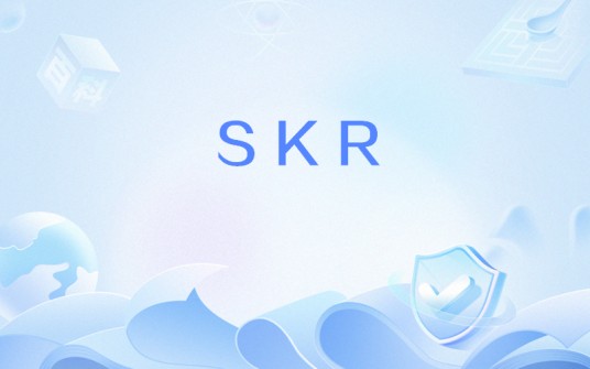 SKR（网络用语）