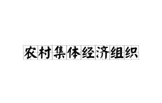 农村集体经济组织