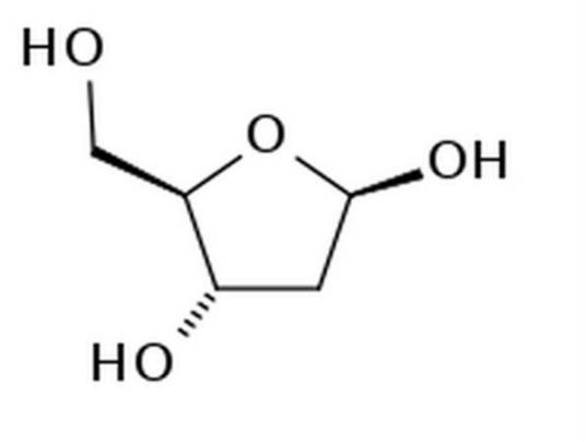 脱氧核糖（生物名词）