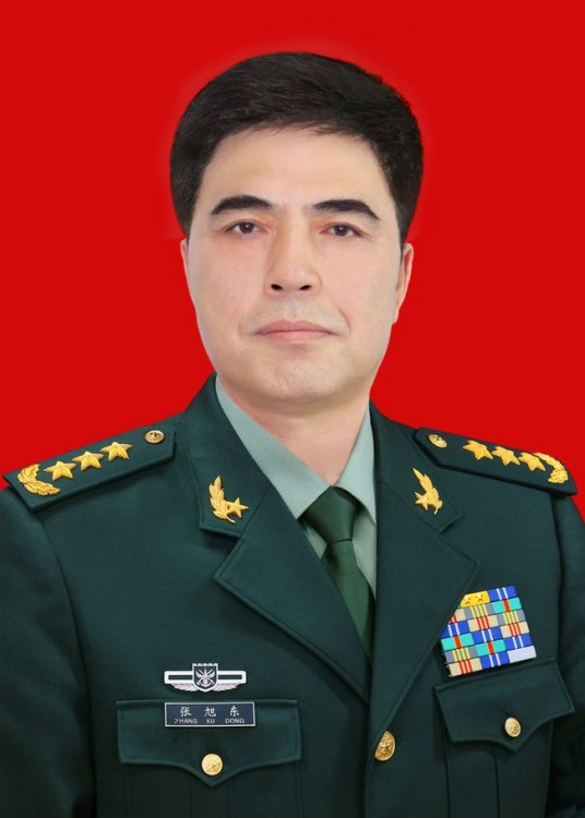 张旭东（中央军委战略规划委员会原上将专职委员）