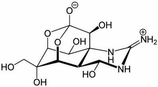 河鲀毒素