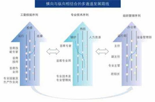 职业发展规划