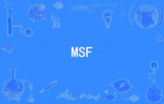 MSF（金融学硕士）