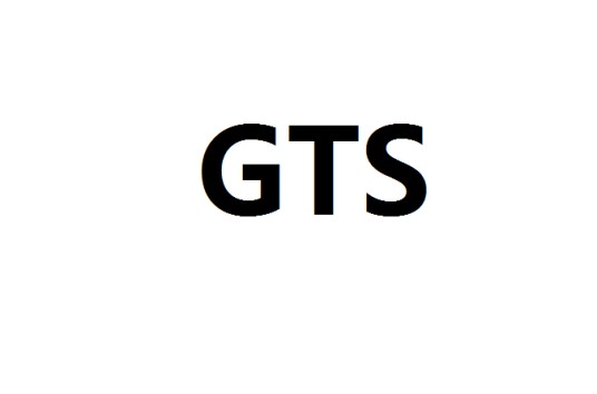 GTS（目录）