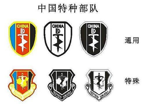 特种兵(执行特殊任务的兵种)