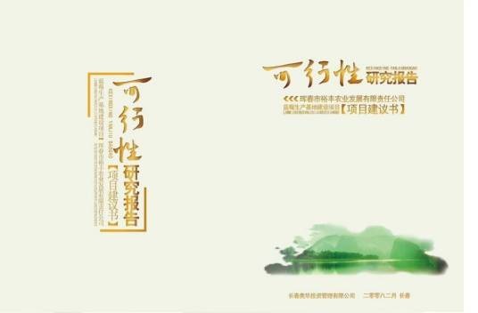 可行性研究报告